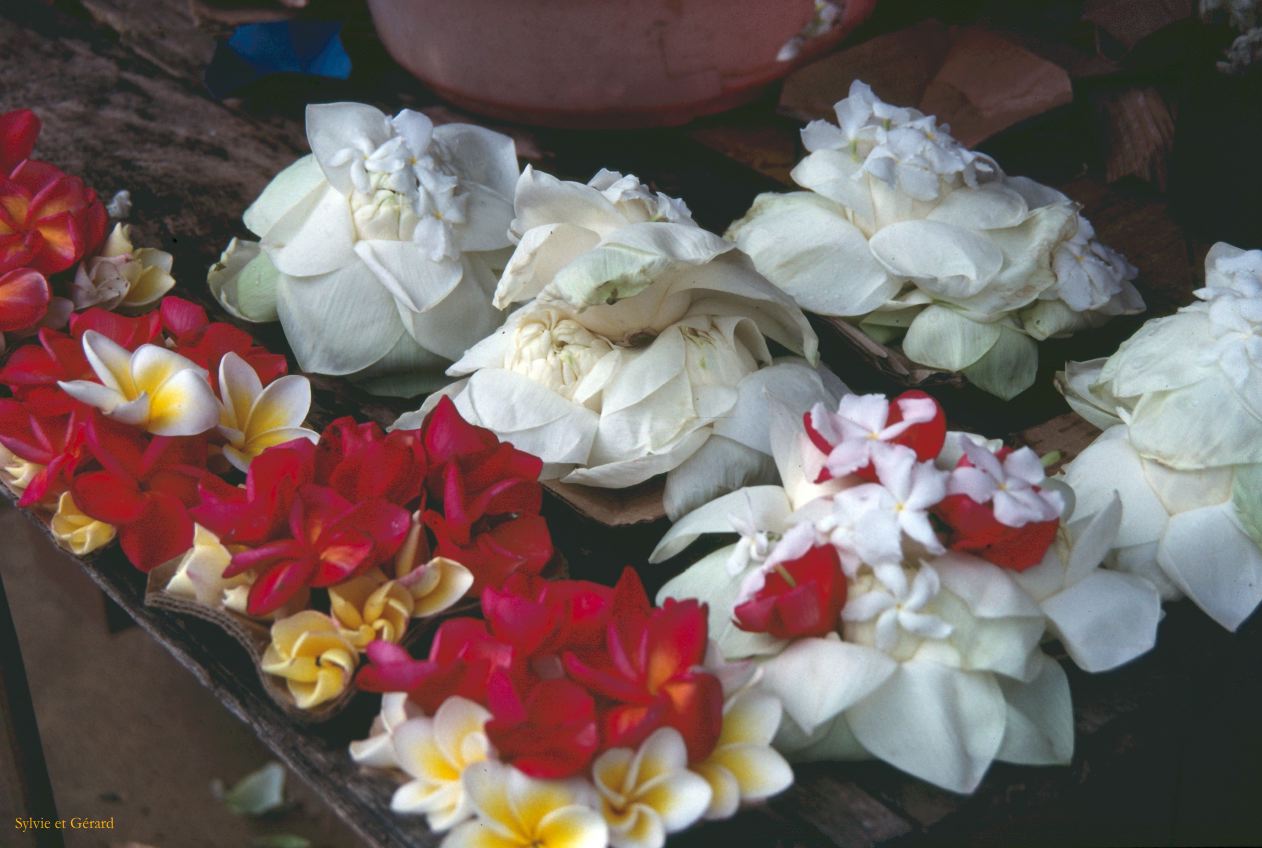 Sri Lanka 1990-161 offrandes