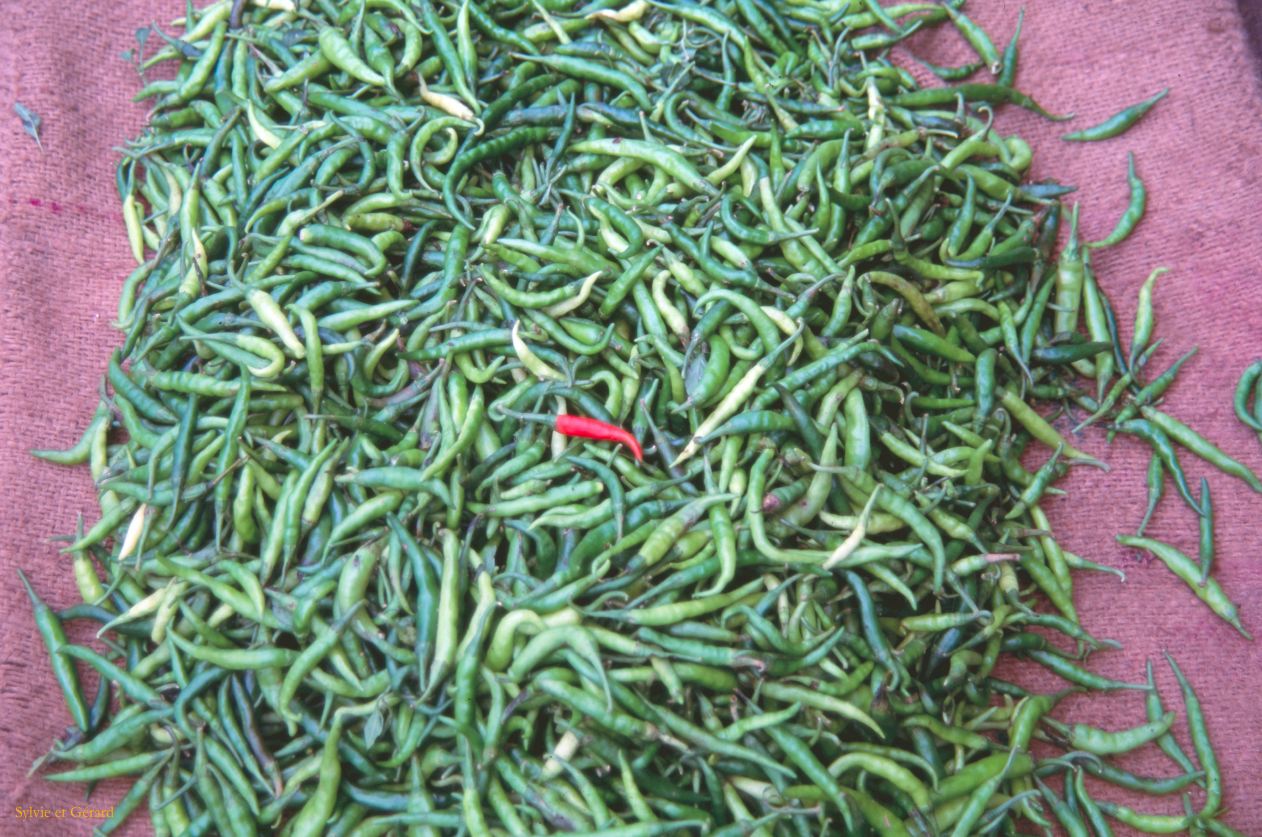 Sri Lanka 1990-018 piments