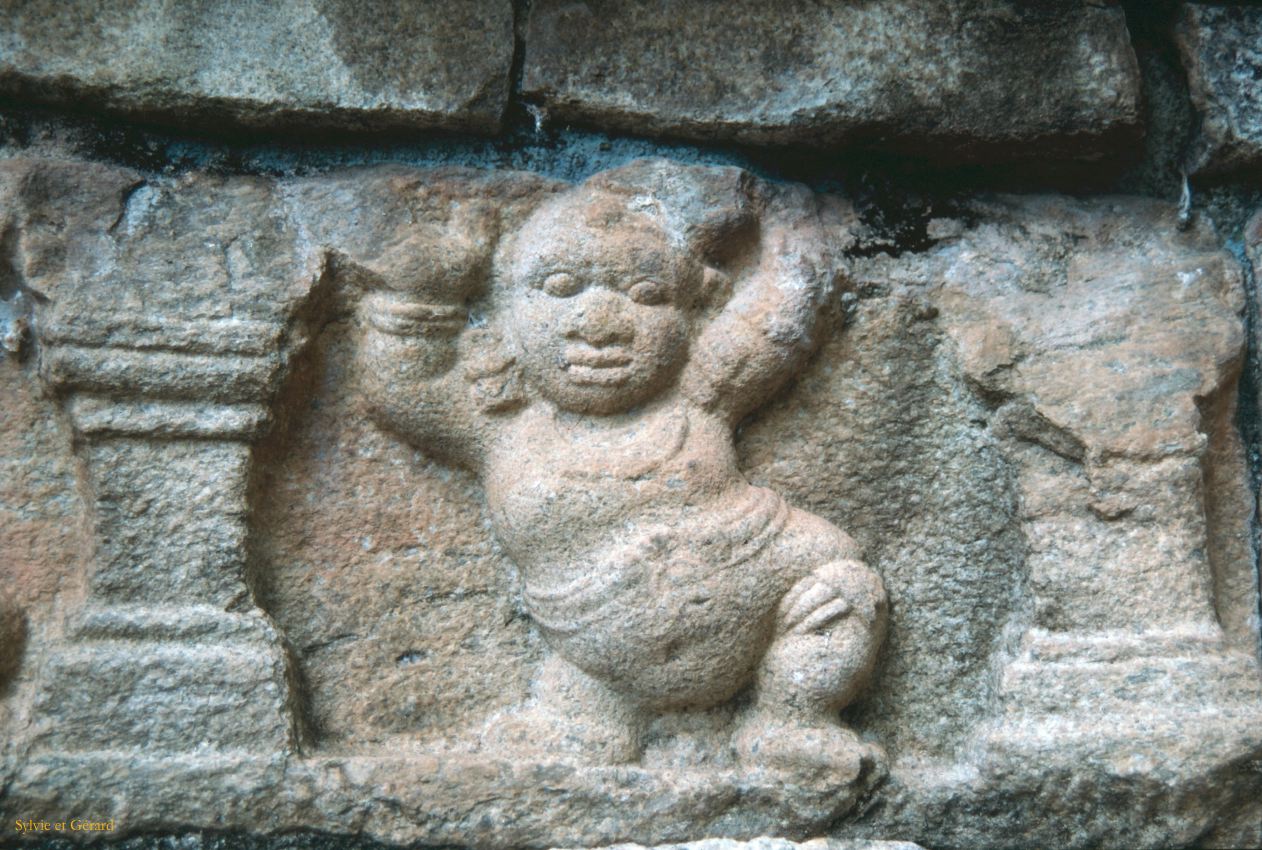 Sri Lanka 1990-213 Polonawura