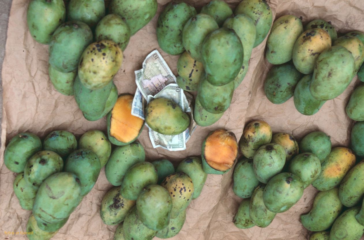 Sri Lanka 1990-022 mangues