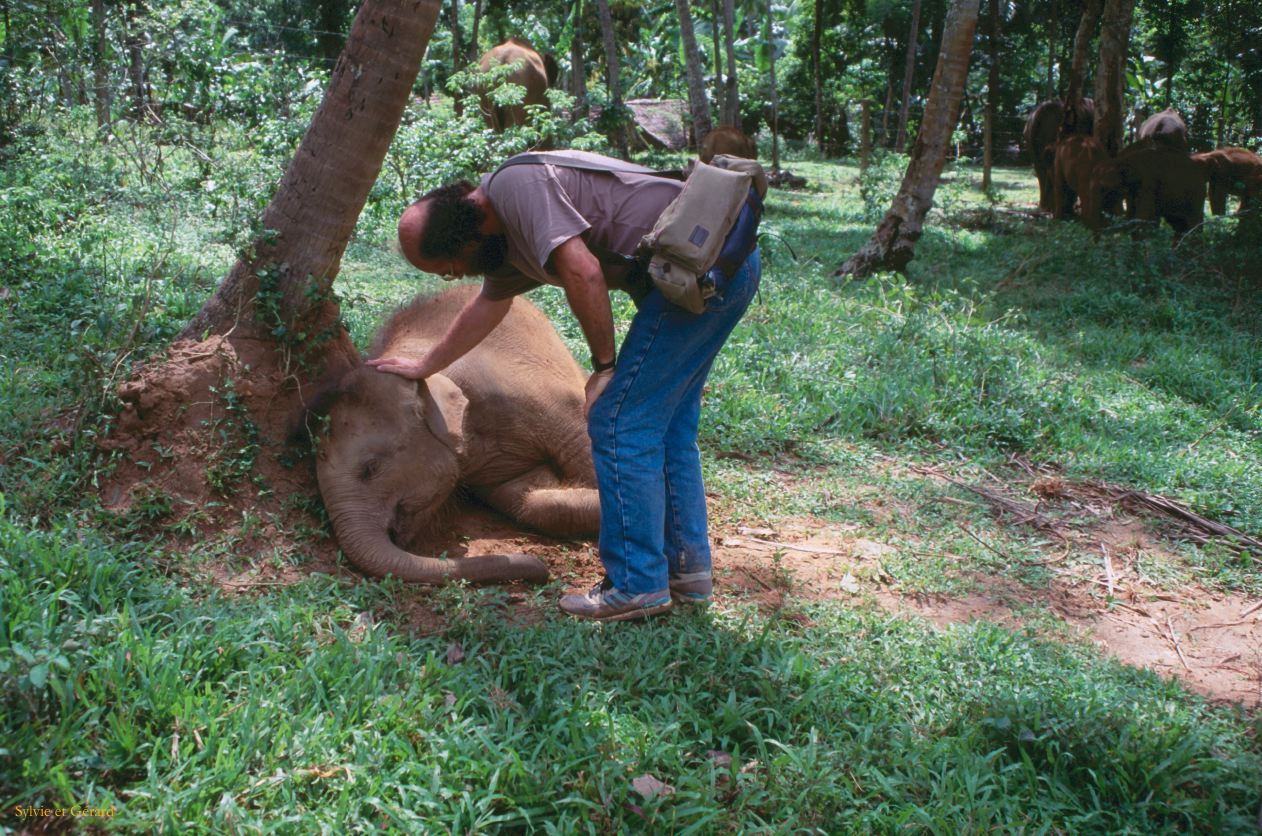 Sri Lanka 1990-252 Gérard et petit éléphant