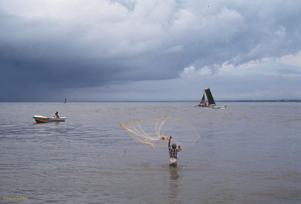 Sri Lanka 1990-264 Negombo pécheur à l'épervier