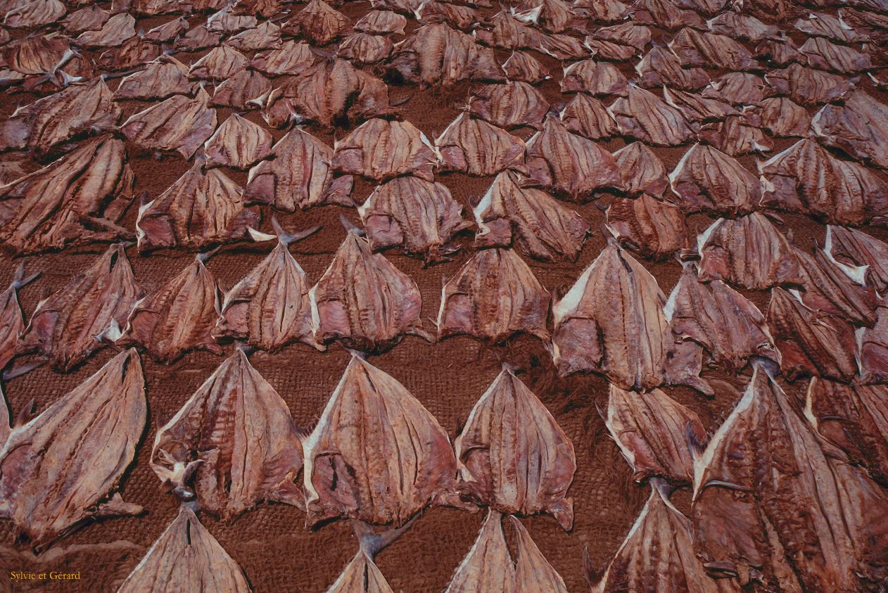 Sri Lanka 1990-273 poissons séchés