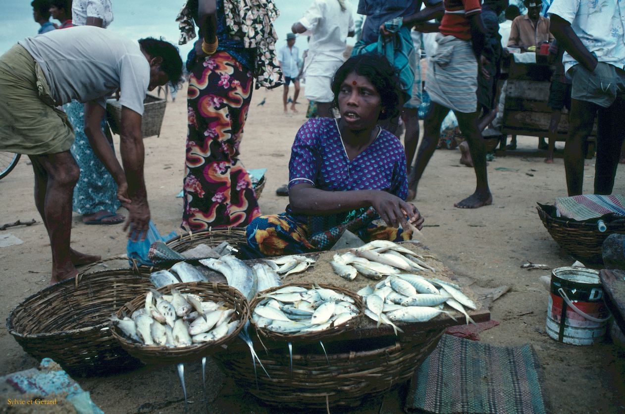 Sri Lanka 1990-275 marchandes de poissons
