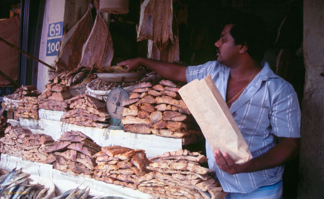 Sri Lanka 1990-025 possons séchés