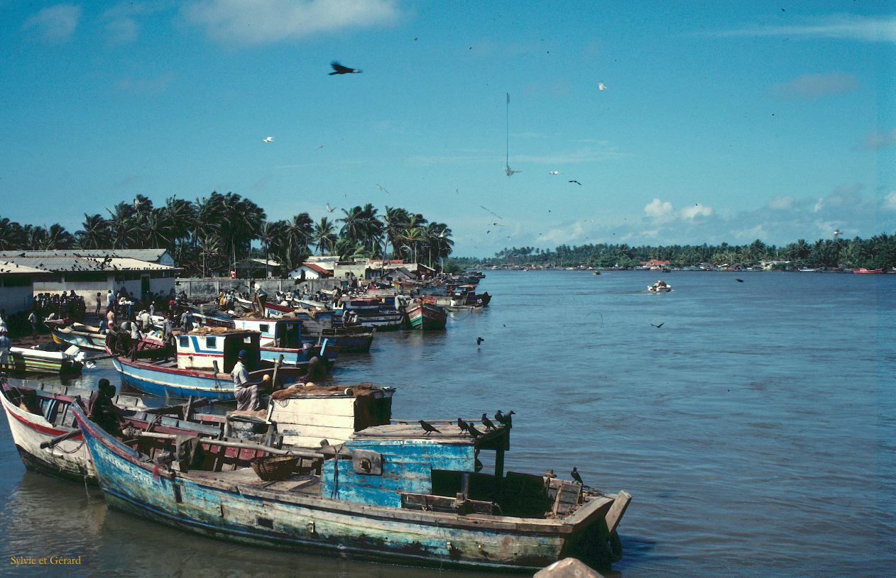 Sri Lanka 1990-288 Chilaw