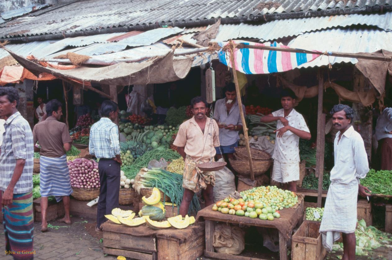 Sri Lanka 1990-027 primeurs