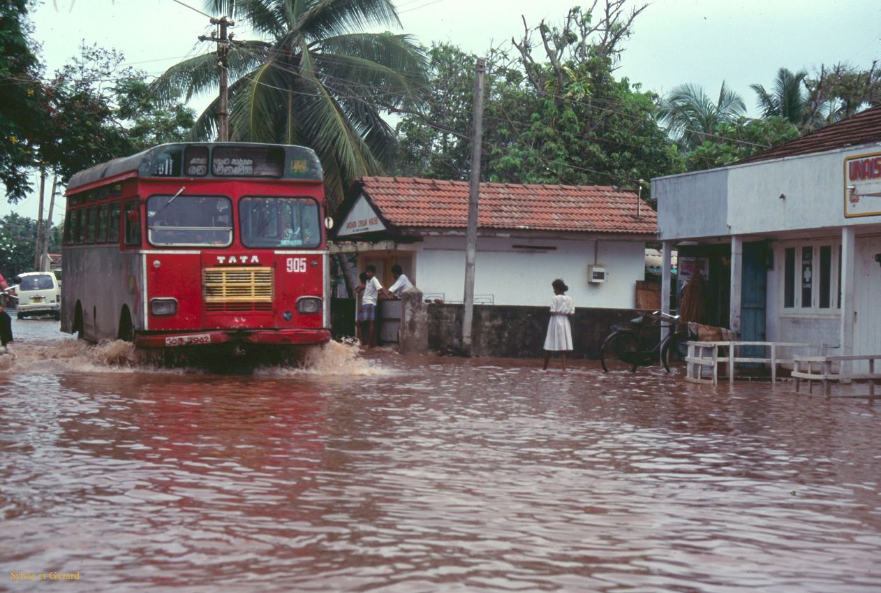 Sri Lanka 1990-043 Negombo Lewis bus dans les inondations