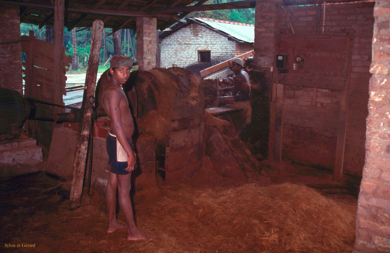 Sri Lanka 1990-055 récupération de la fibre