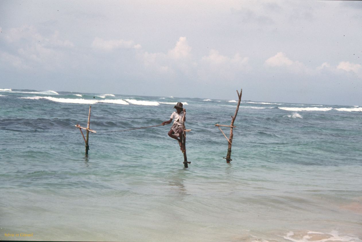 Sri Lanka 1990-070 Welingama pécheurs sur perche