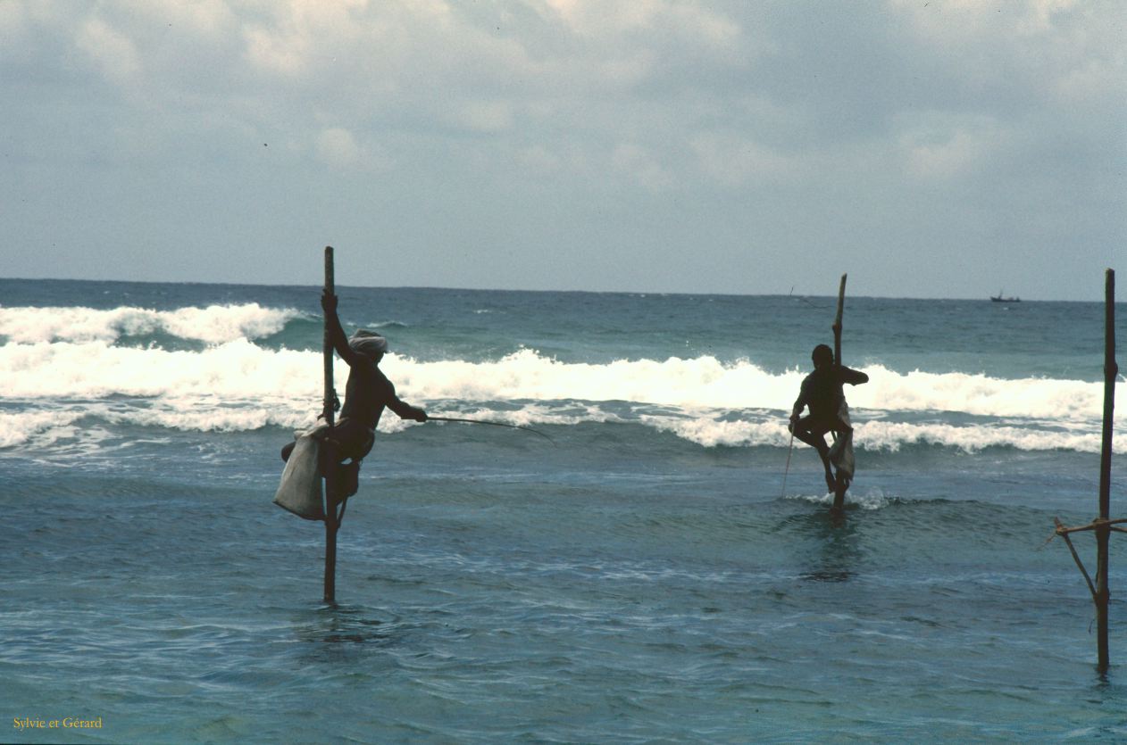 Sri Lanka 1990-072 Welingama pecheurs sur perche