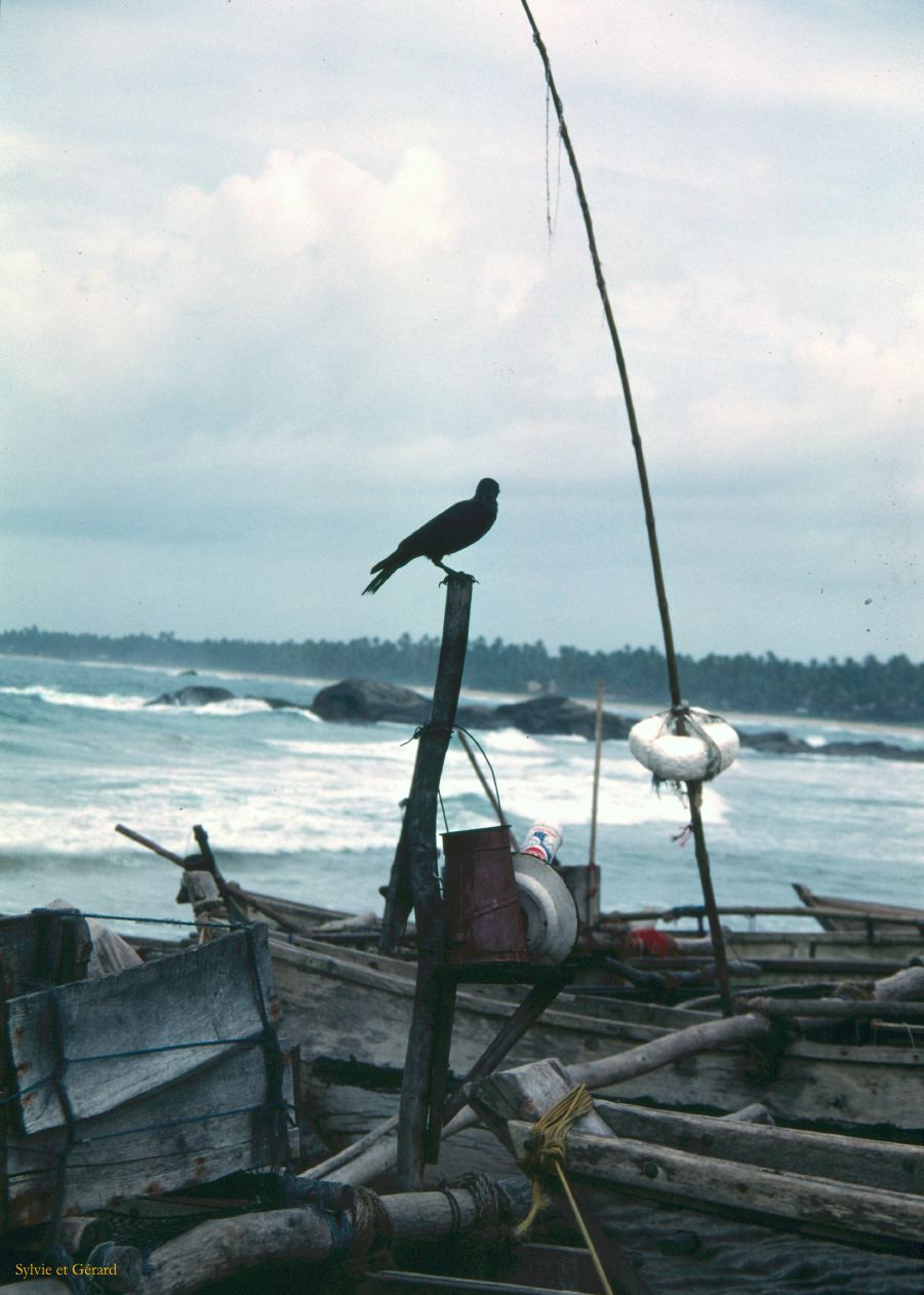 Sri Lanka 1990-096 Bentota bord de mer