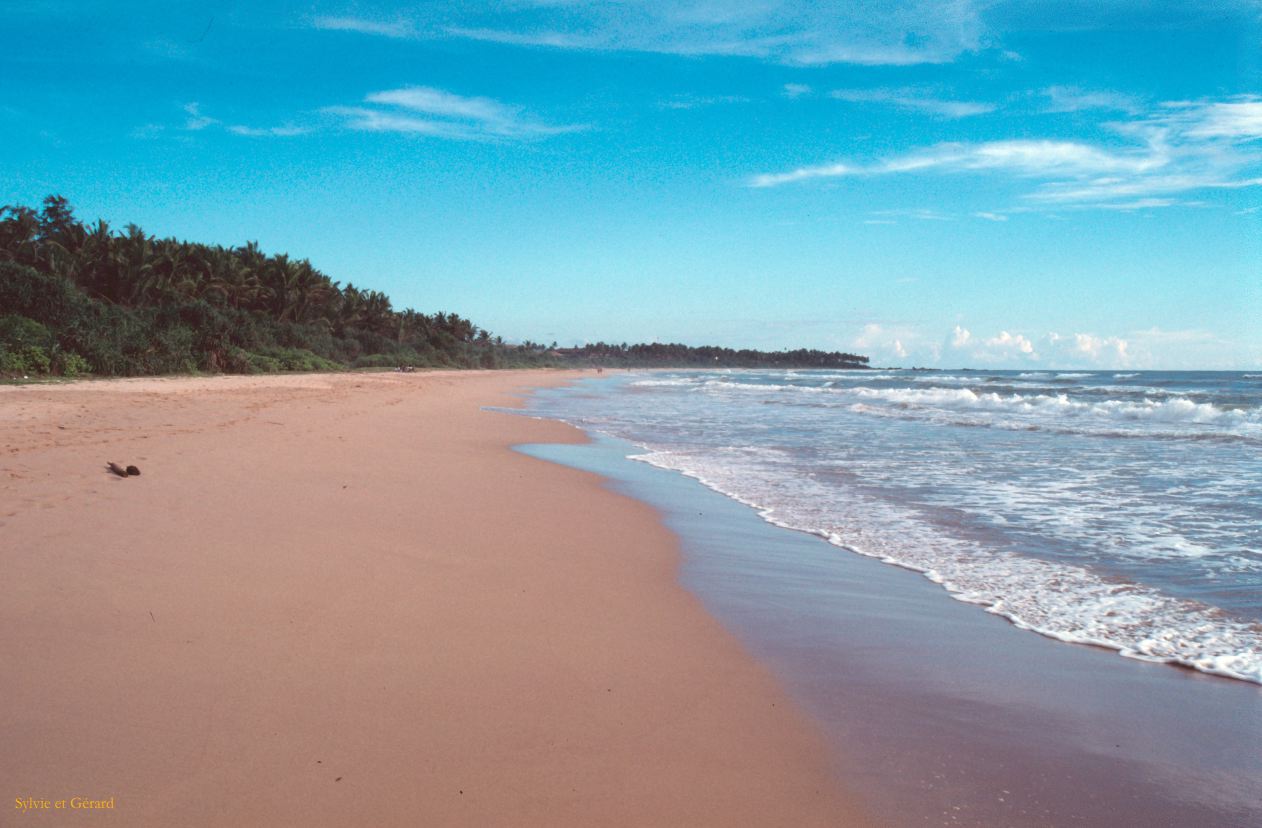 Sri Lanka 1990-097 Bentota bord de mer