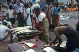 Sri Lanka 1990-277 marchandes de poissons