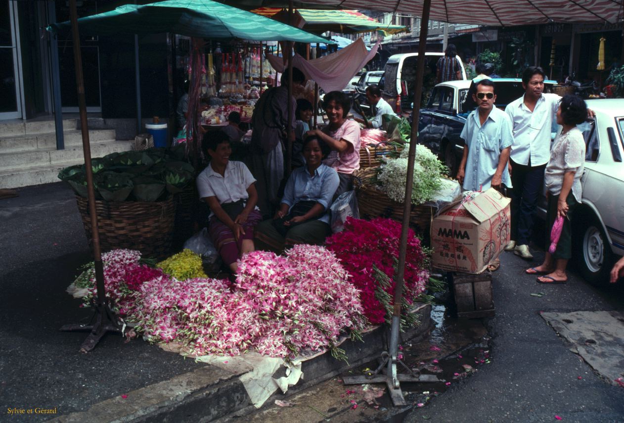 Bangkok orchidées Thaïlande -020
