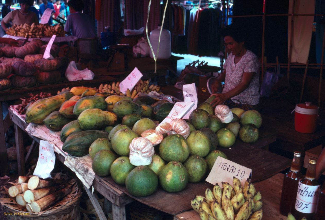 Bangkok week end market Thaïlande -014