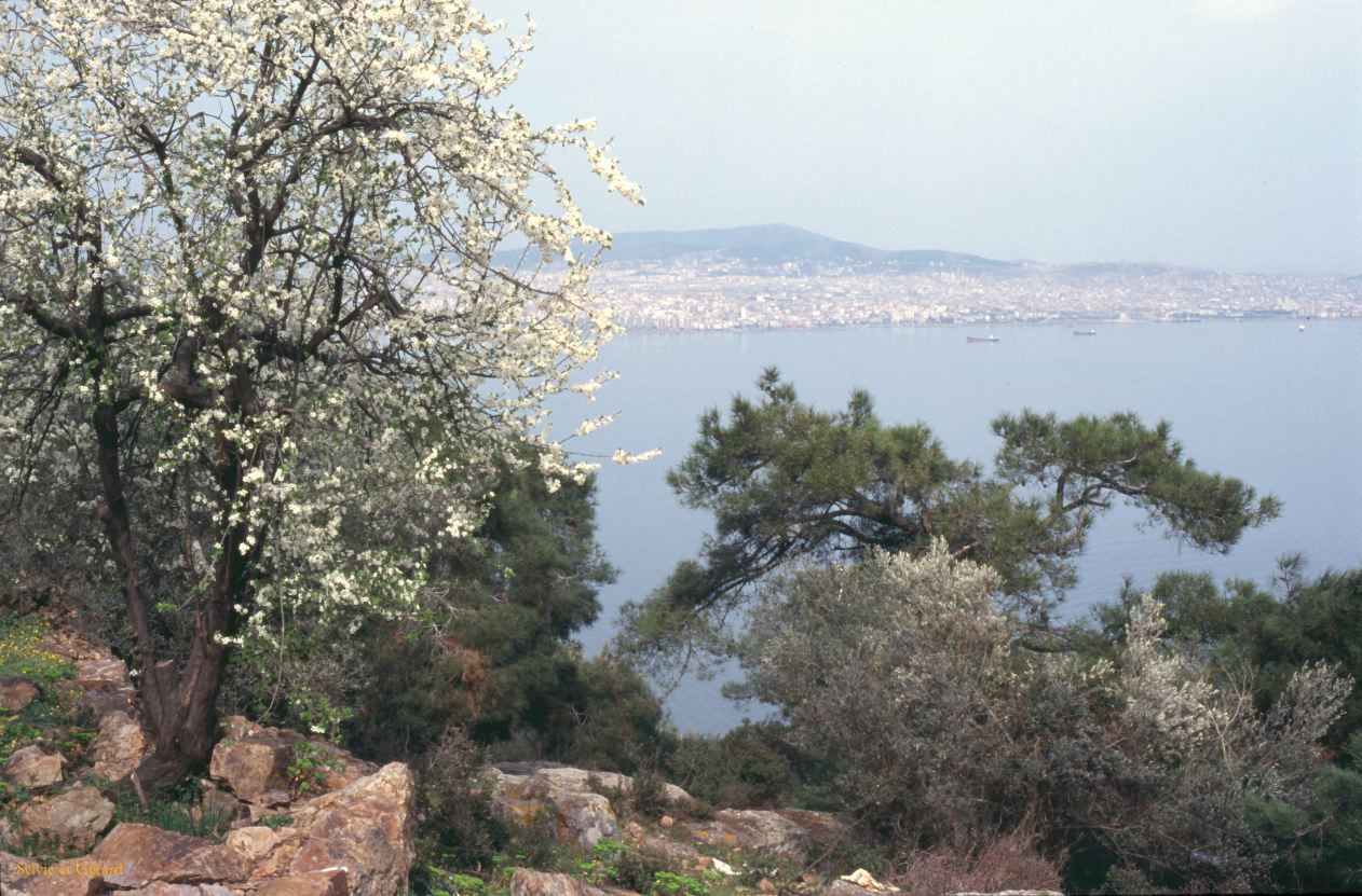Turquie 2000-105  Istanbul  le Bosphore l'île aux princes