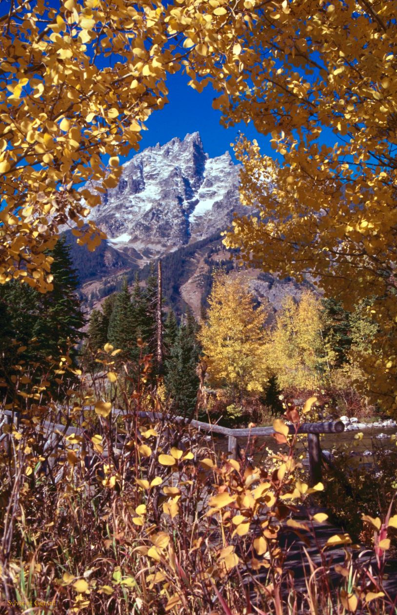 Grand Teton NP Wyoming USA 1996-035