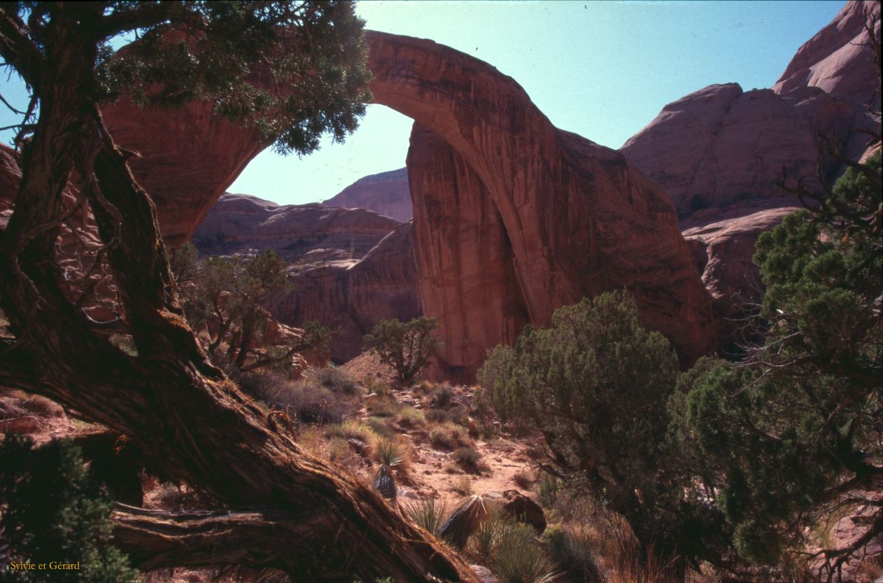 Lake Powell Glen Canyon Rainbow Bridge Utah USA 1996-342