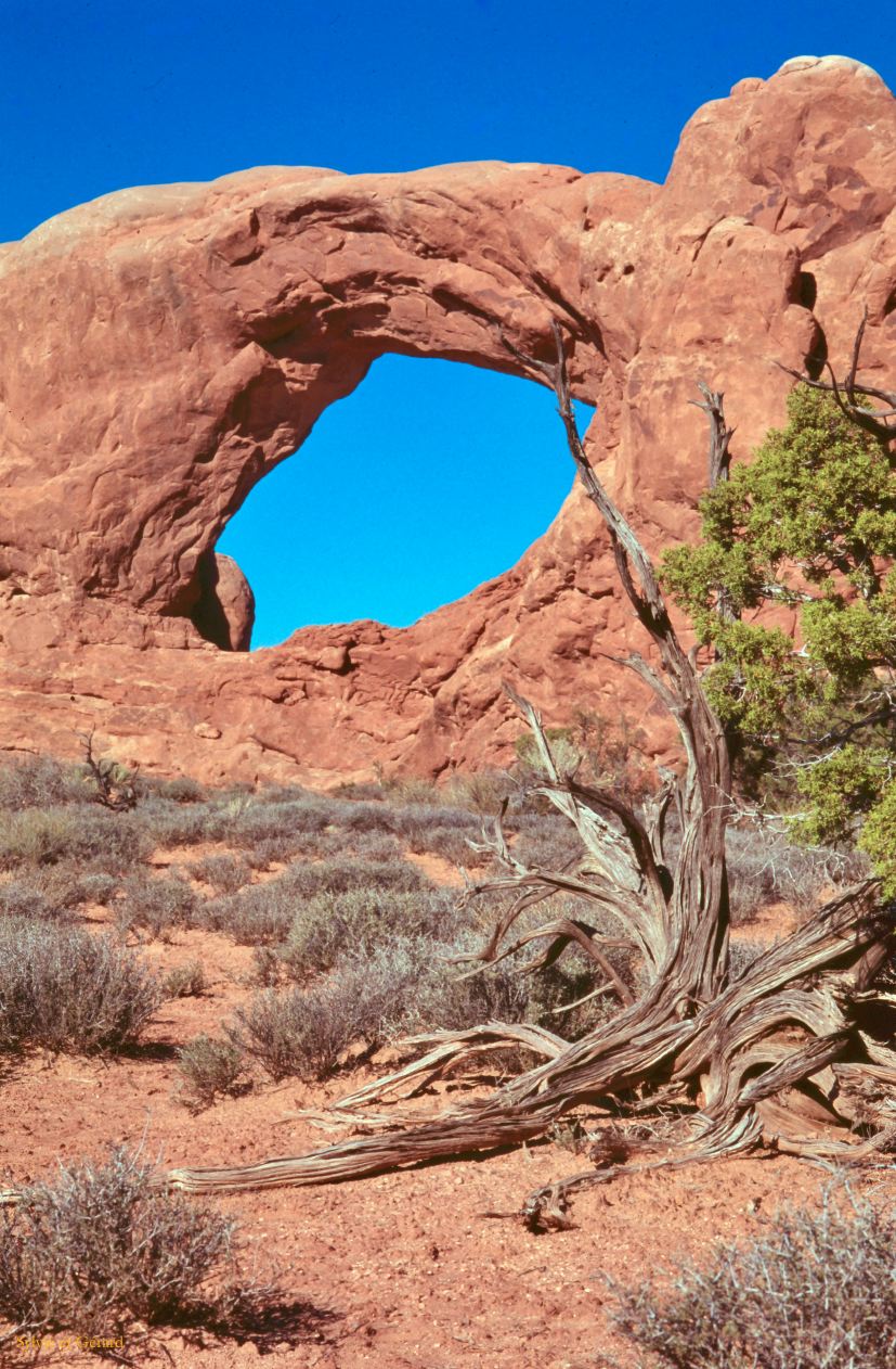 Arches NP Utah USA 1996-143