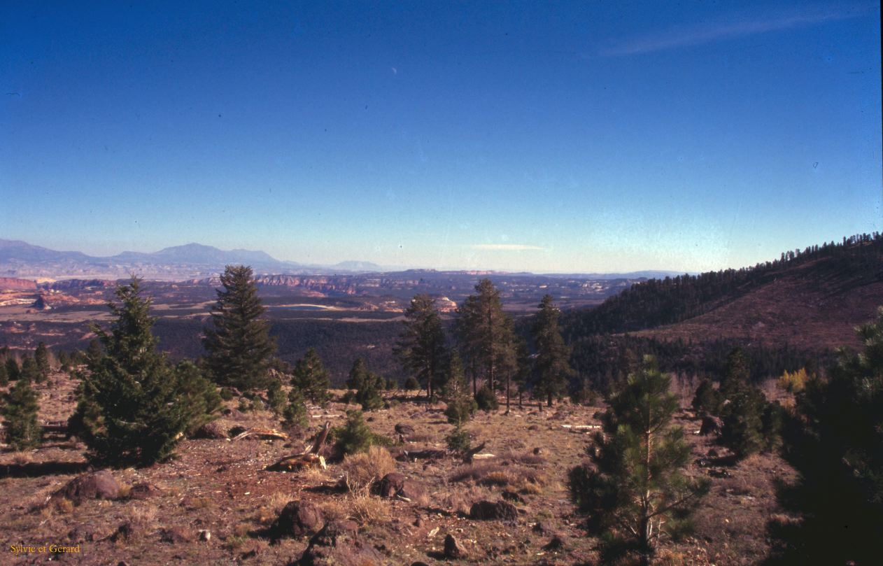 Lake Powell Glen Canyon Utah USA 1996-364