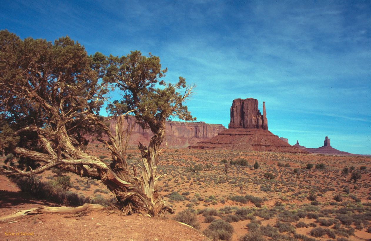 Monument Valley NP Utah-Arizona USA 1996-328