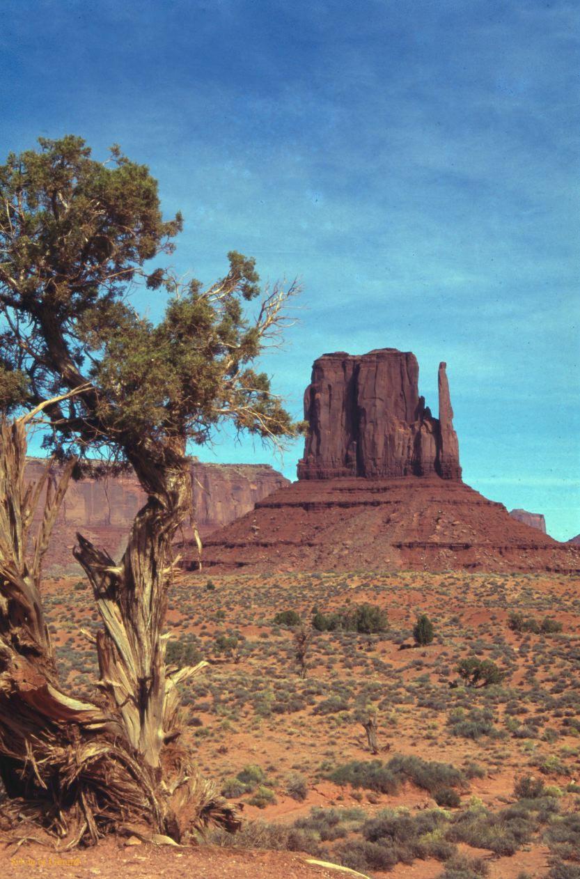 Monument Valley NP Utah-Arizona USA 1996-329