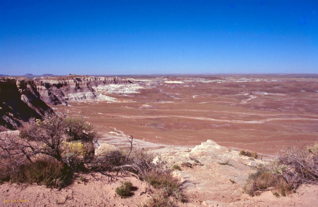 Petrified Forest NP Arizona USA 1996-230