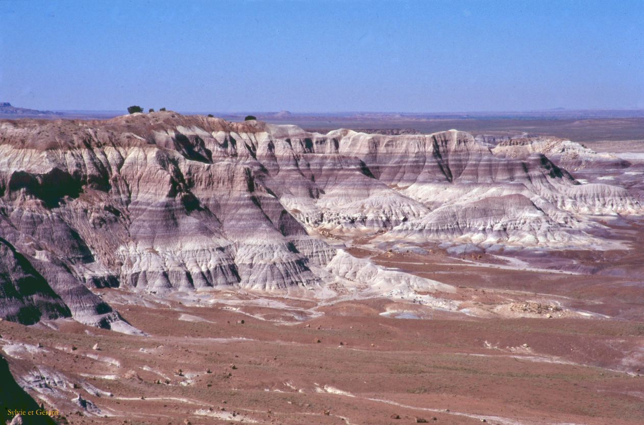 Petrified Forest NP Arizona USA 1996-231