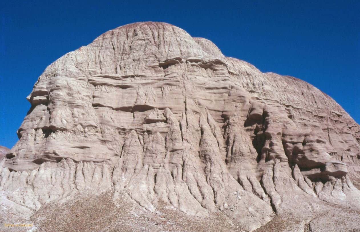 Petrified Forest NP Arizona USA 1996-234