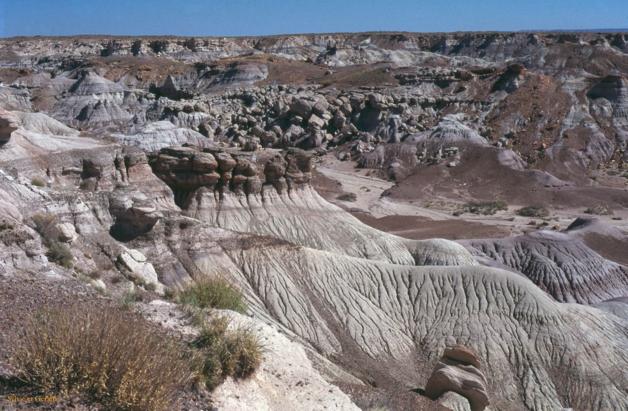 Petrified Forest NP Arizona USA 1996-235