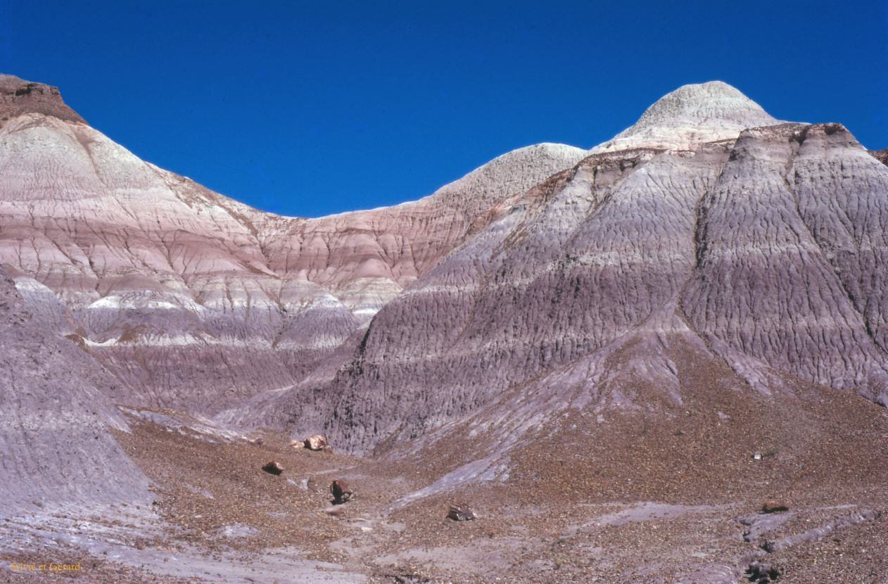 Petrified Forest NP Arizona USA 1996-238
