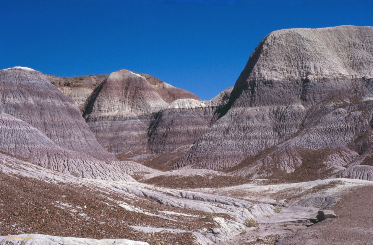 Petrified Forest NP Arizona USA 1996-240