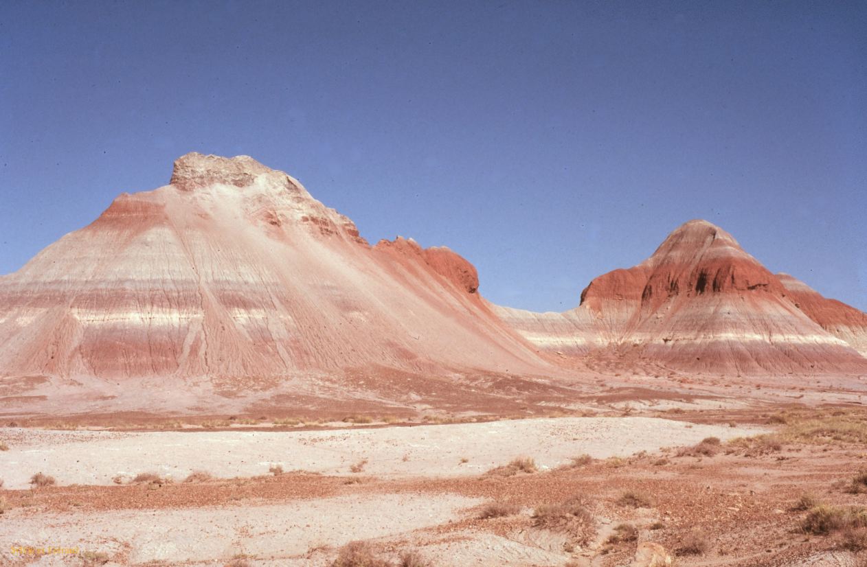 Petrified Forest NP Arizona USA 1996-241