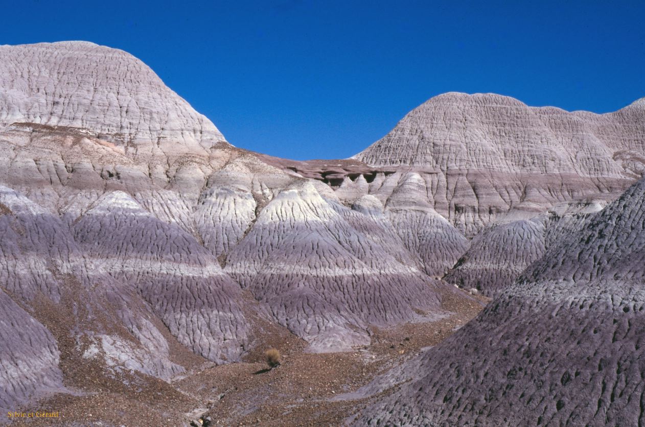 Petrified Forest NP Arizona USA 1996-243