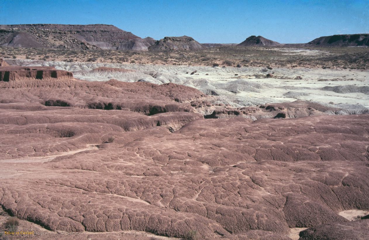 Petrified Forest NP Arizona USA 1996-245