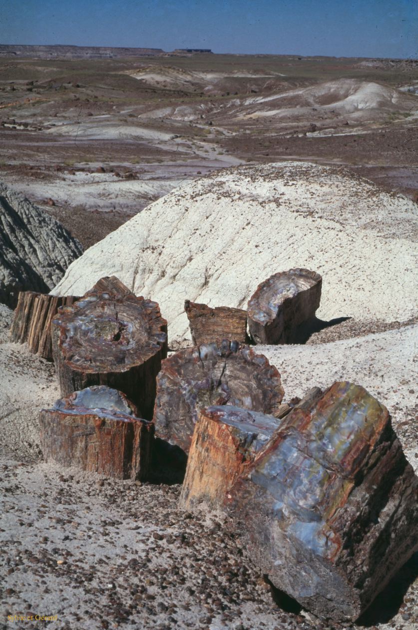 Petrified Forest NP Arizona USA 1996-247
