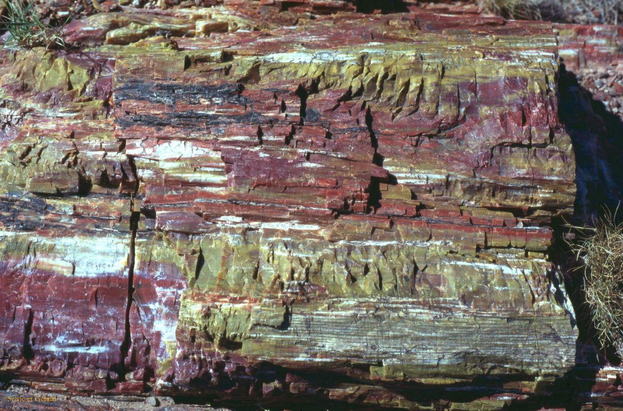 Petrified Forest NP Arizona USA 1996-254