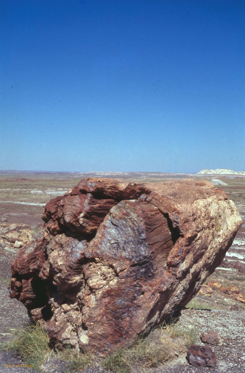 Petrified Forest NP Arizona USA 1996-255