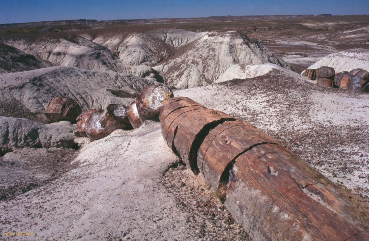 Petrified Forest NP Arizona USA 1996-256