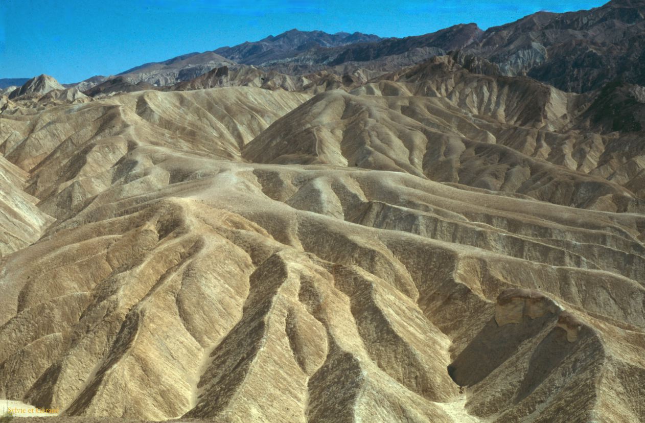 Vallée de la Mort USA 1996-020