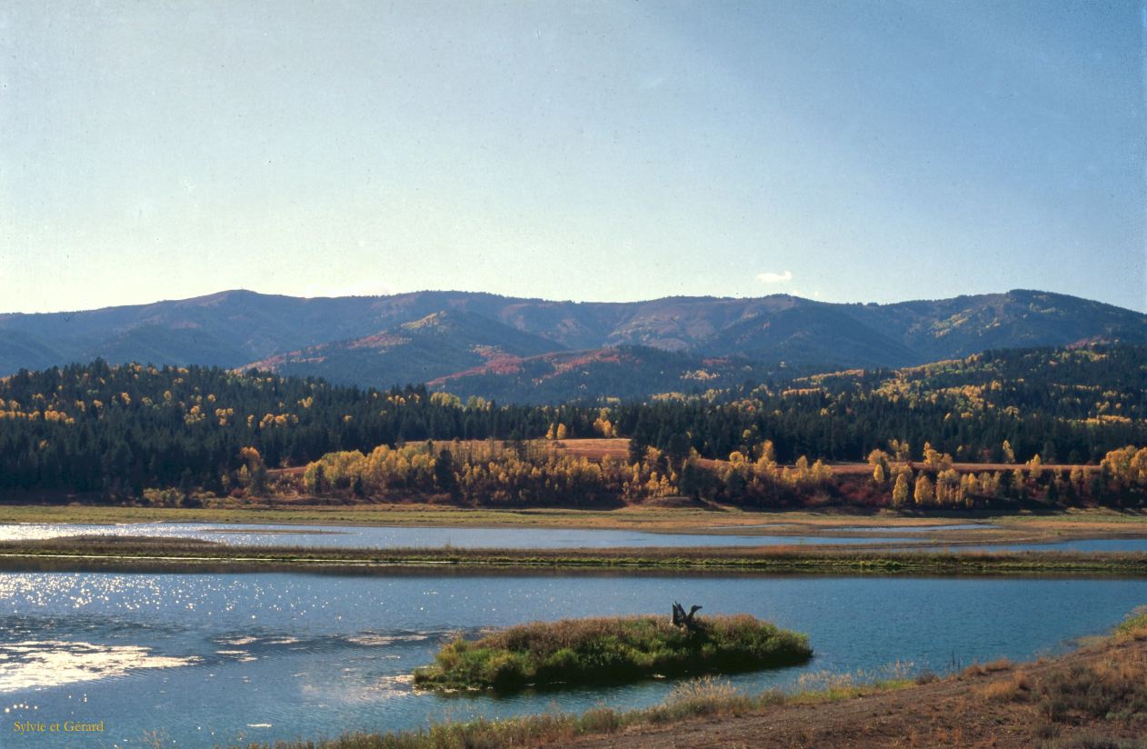 Yellowstone NP Wyoming  USA 1996-040