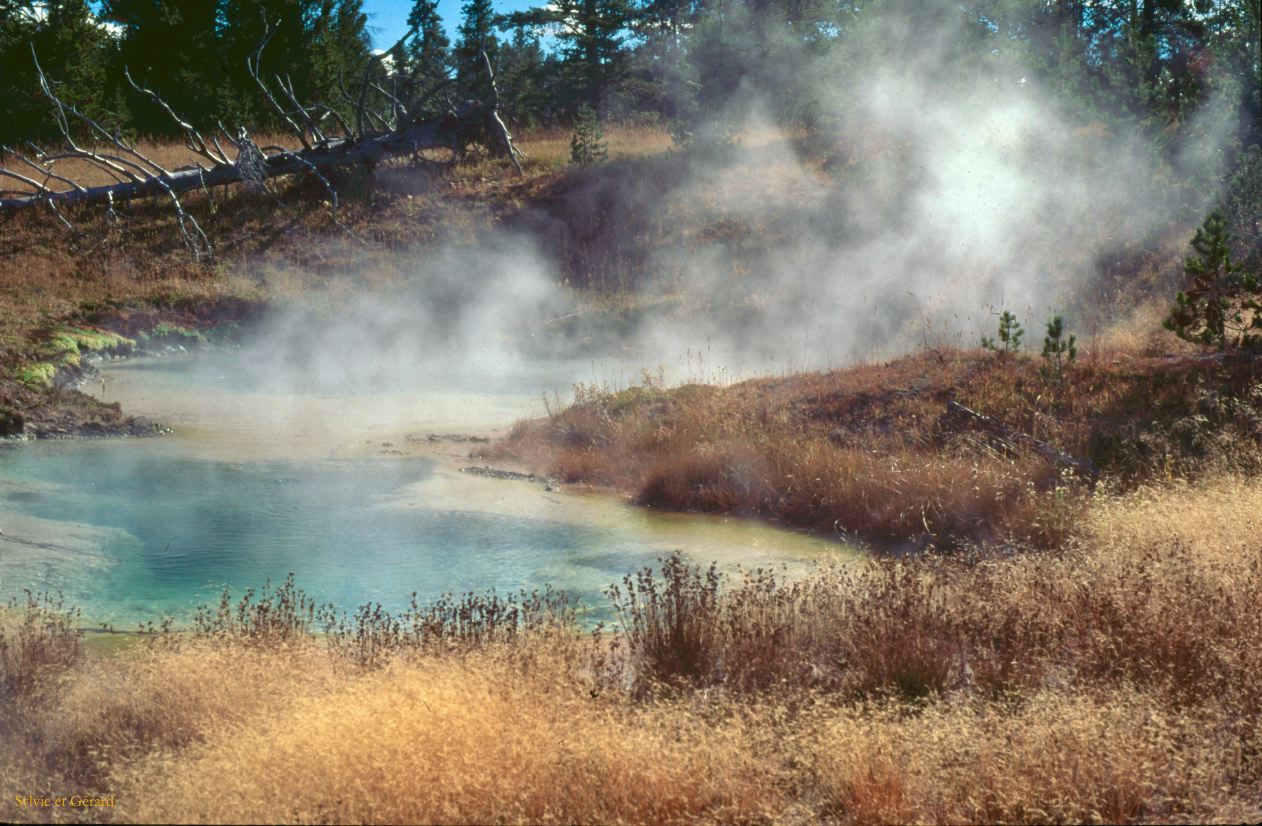 Yellowstone NP Wyoming  USA 1996-047