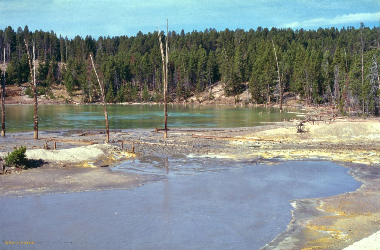 Yellowstone NP Wyoming  USA 1996-048