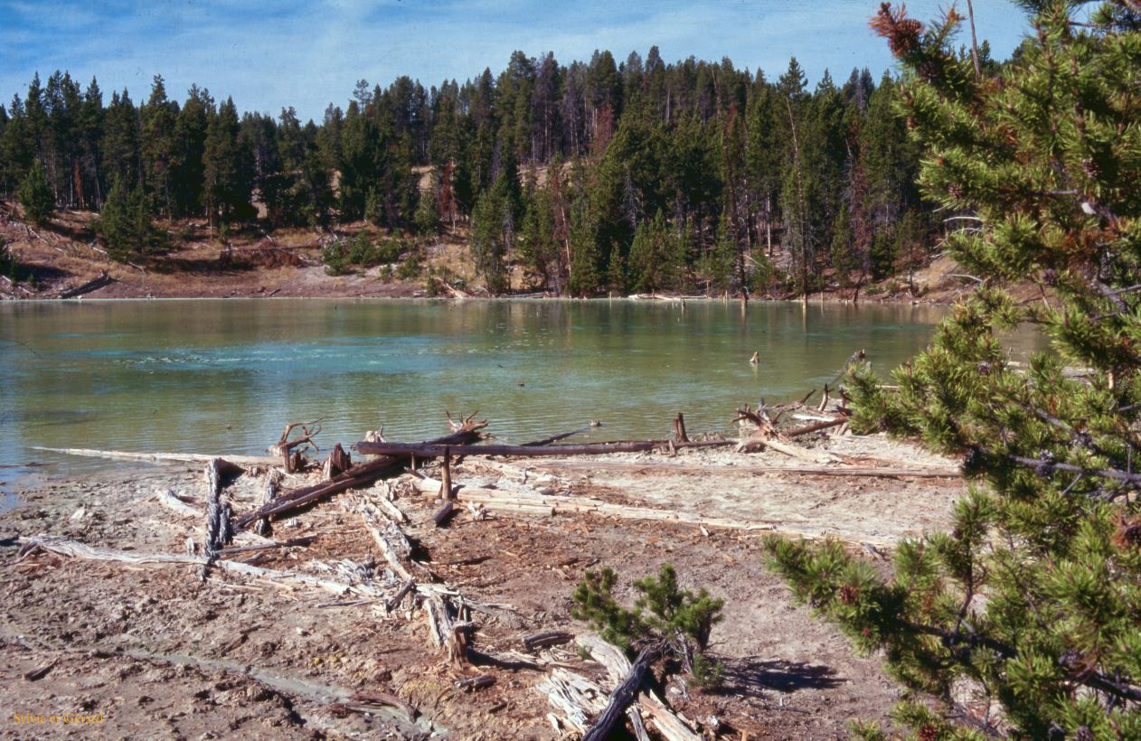 Yellowstone NP Wyoming  USA 1996-049