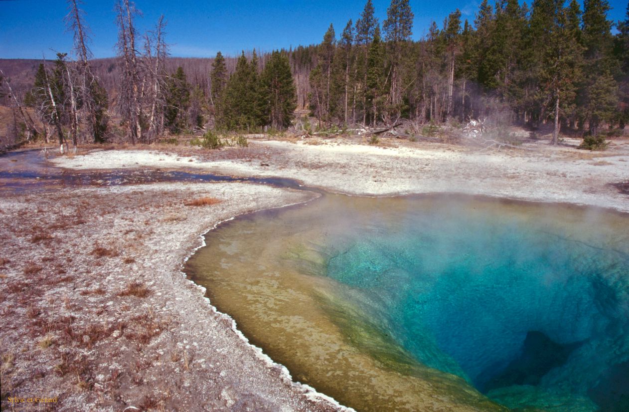 Yellowstone NP Wyoming  USA 1996-050