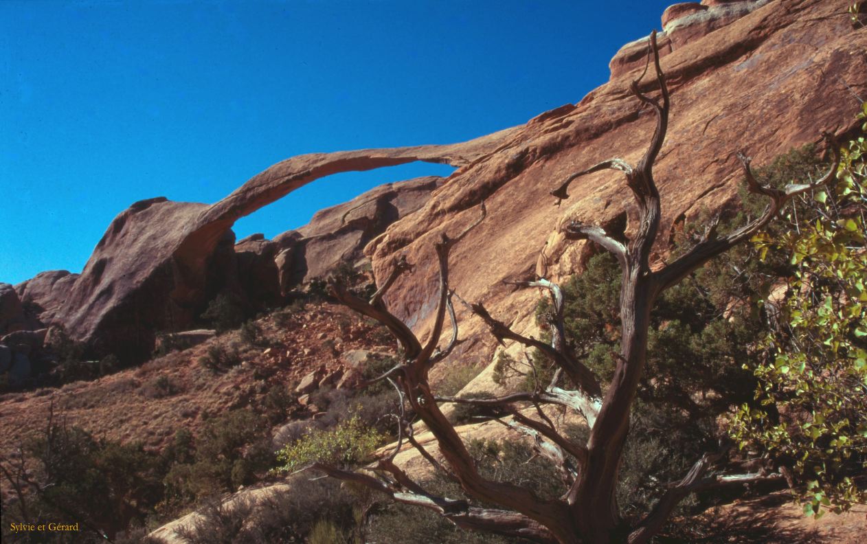 Arches NP Utah USA 1996-159