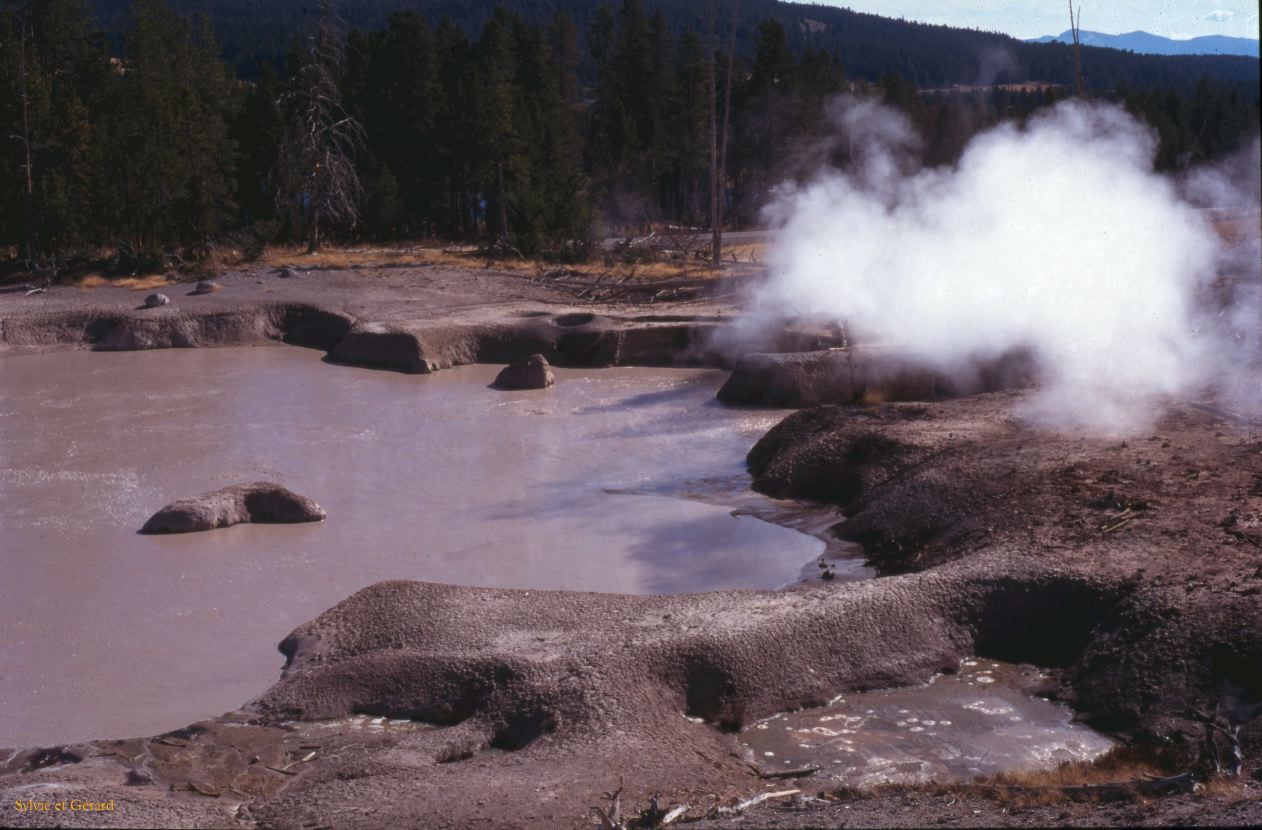 Yellowstone NP Wyoming  USA 1996-055