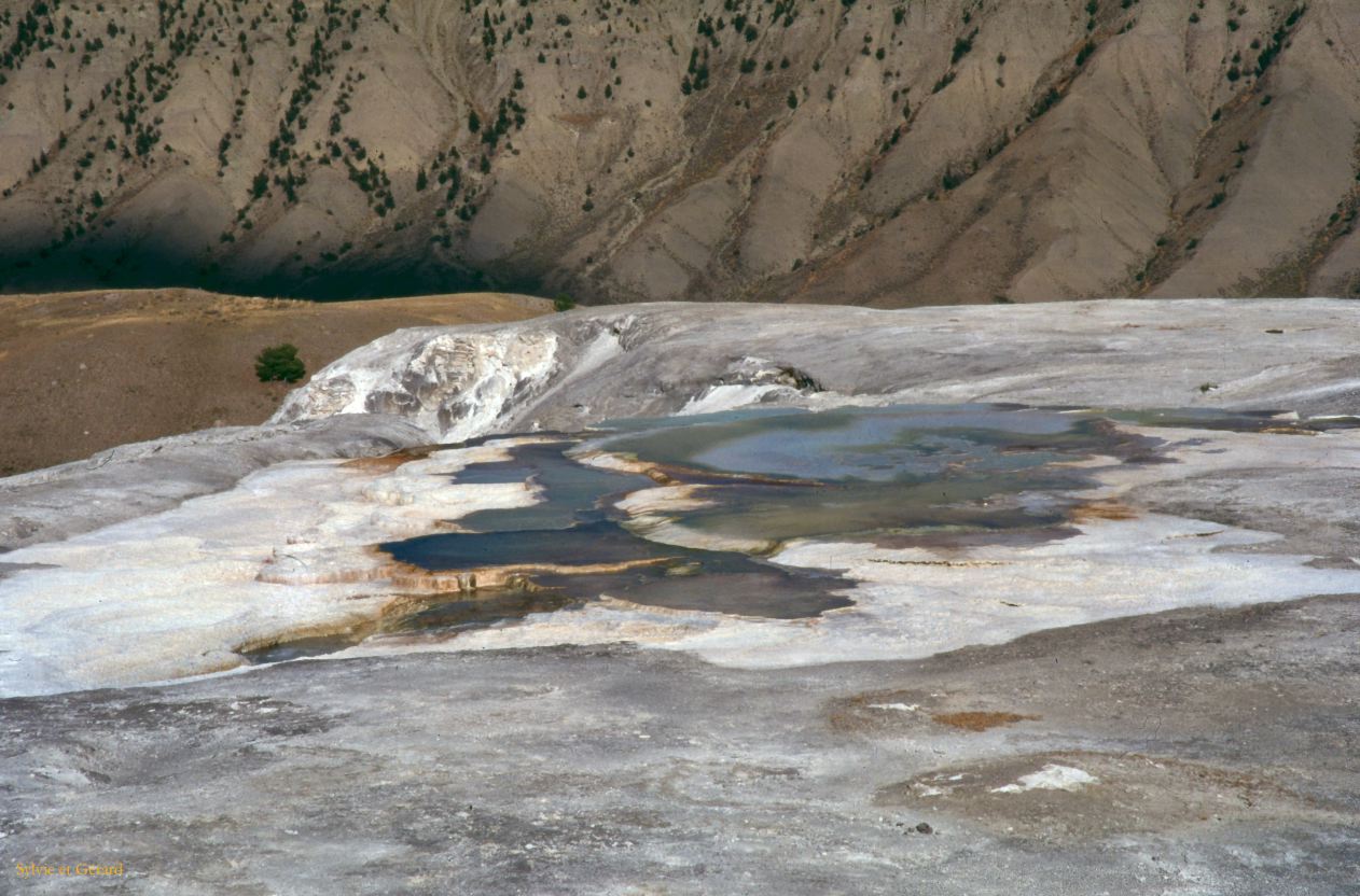 Yellowstone NP Wyoming  USA 1996-057