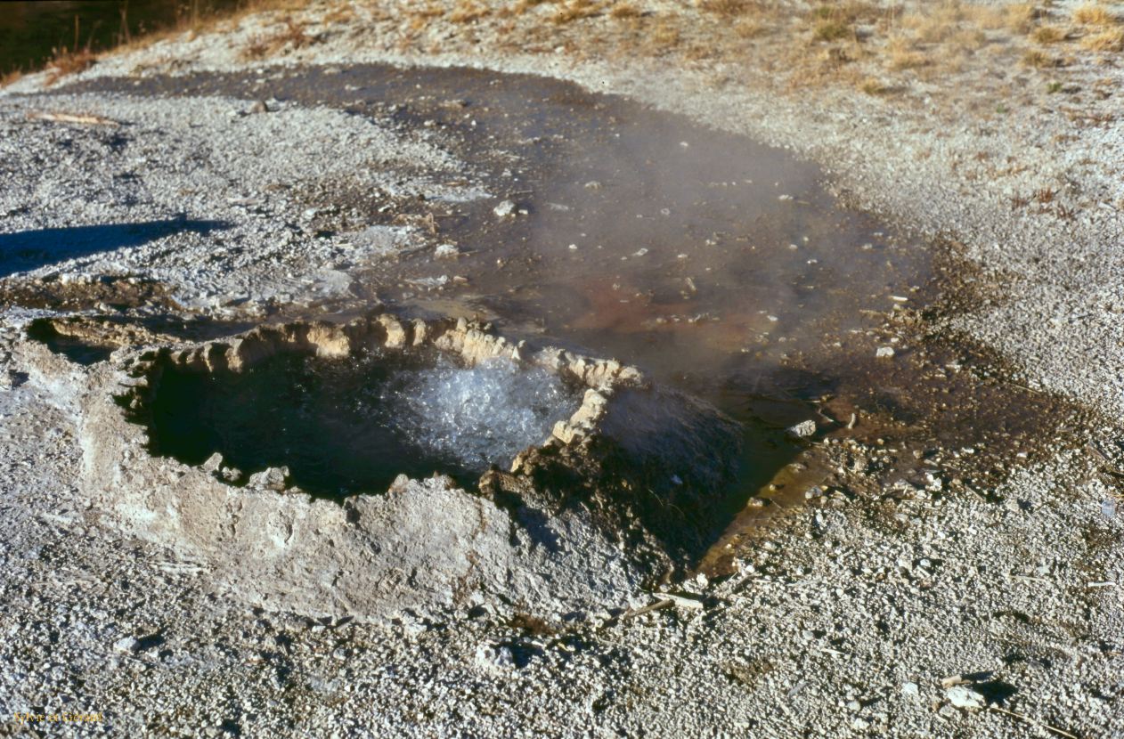 Yellowstone NP Wyoming  USA 1996-058